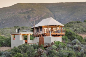 Buckron at Patatsfontein Stay
